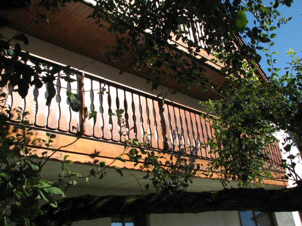 זירנדורף Ferienwohnung Lautner מראה חיצוני תמונה